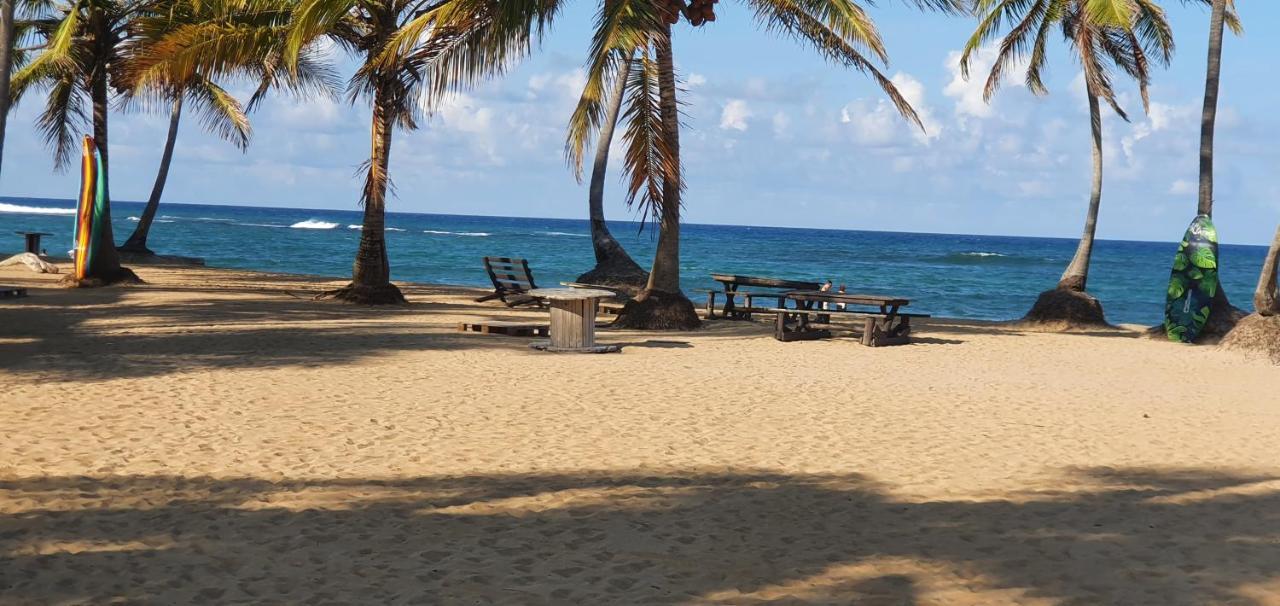 Puntacana Ecolodge Lavacama Beach Costa Arrecife By Aa Crypto Group Punta Cana Exterior foto