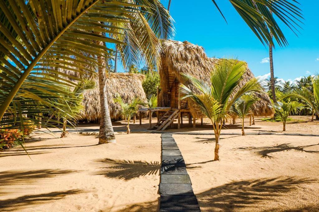 Puntacana Ecolodge Lavacama Beach Costa Arrecife By Aa Crypto Group Punta Cana Exterior foto